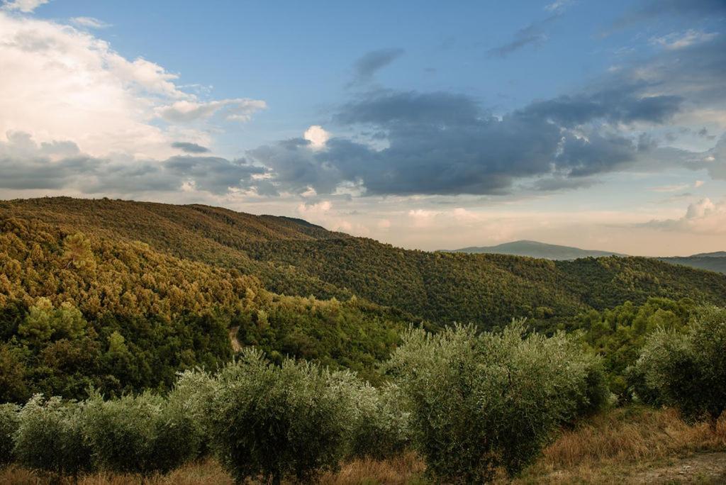 Tenuta Di Forte Sorgnano Gualdo Cattaneo Bagian luar foto