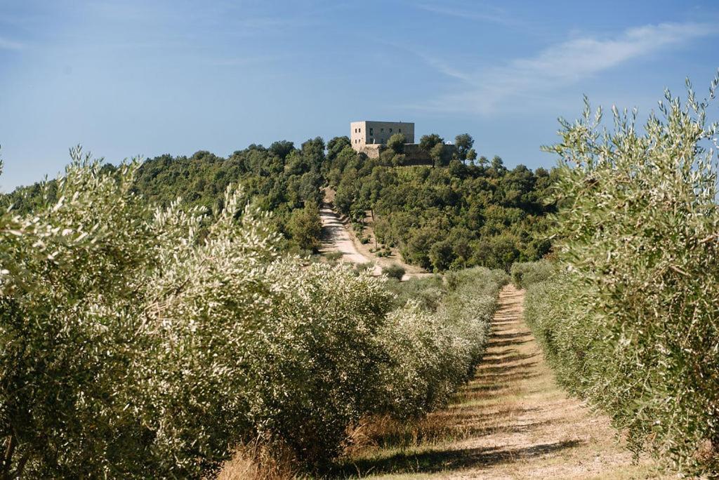 Tenuta Di Forte Sorgnano Gualdo Cattaneo Bagian luar foto